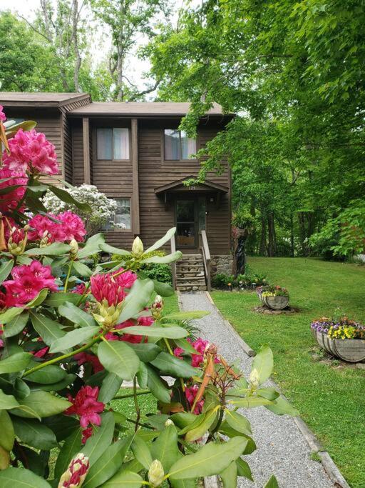 Willa J.Creek Retreat, Creekside Townhouse +1 Car Garage Maggie Valley Zewnętrze zdjęcie